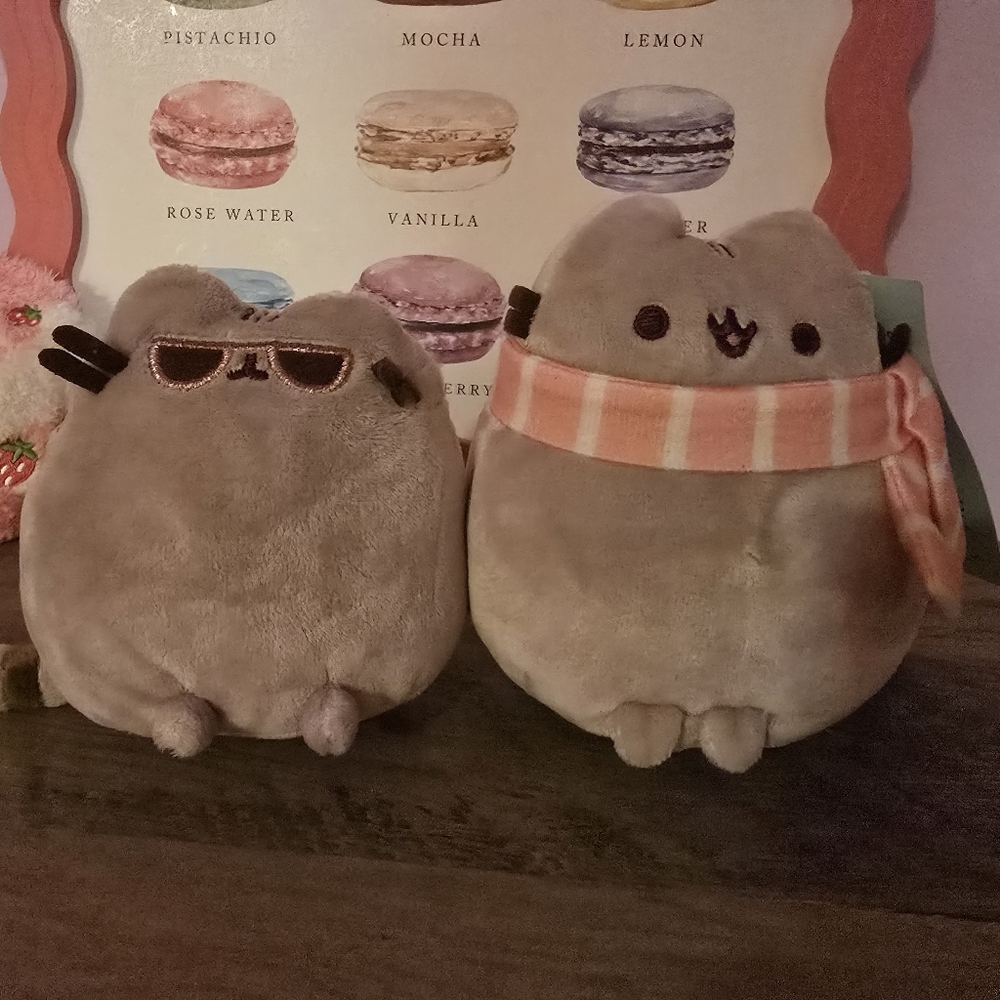 More PUSHEEN Items! - Picture 8 of 16